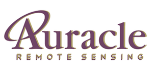 rsz_aurcale_4-300×195